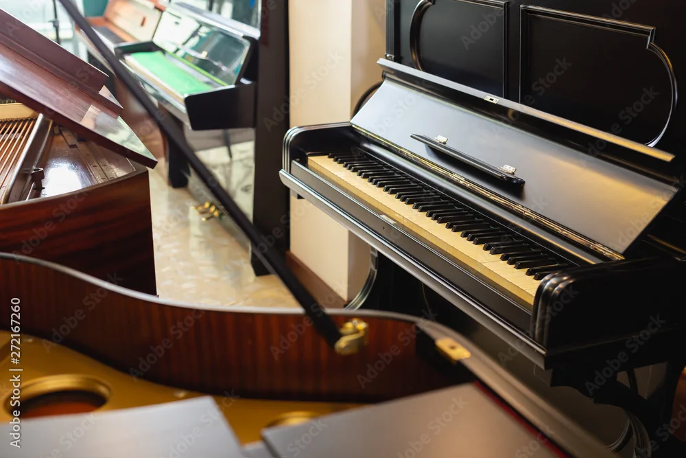 Duluth Fine Pianos, business photo 2