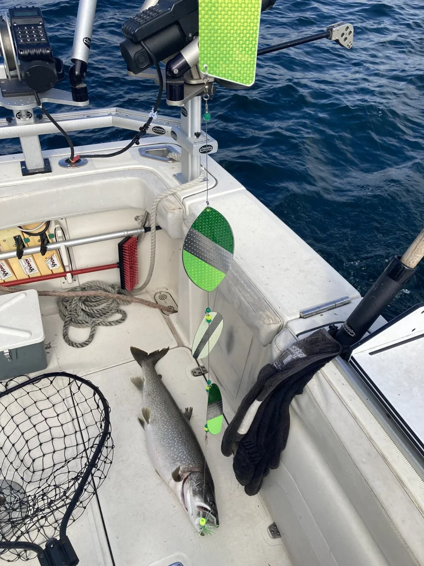 Superior Marine Charters, business photo 2