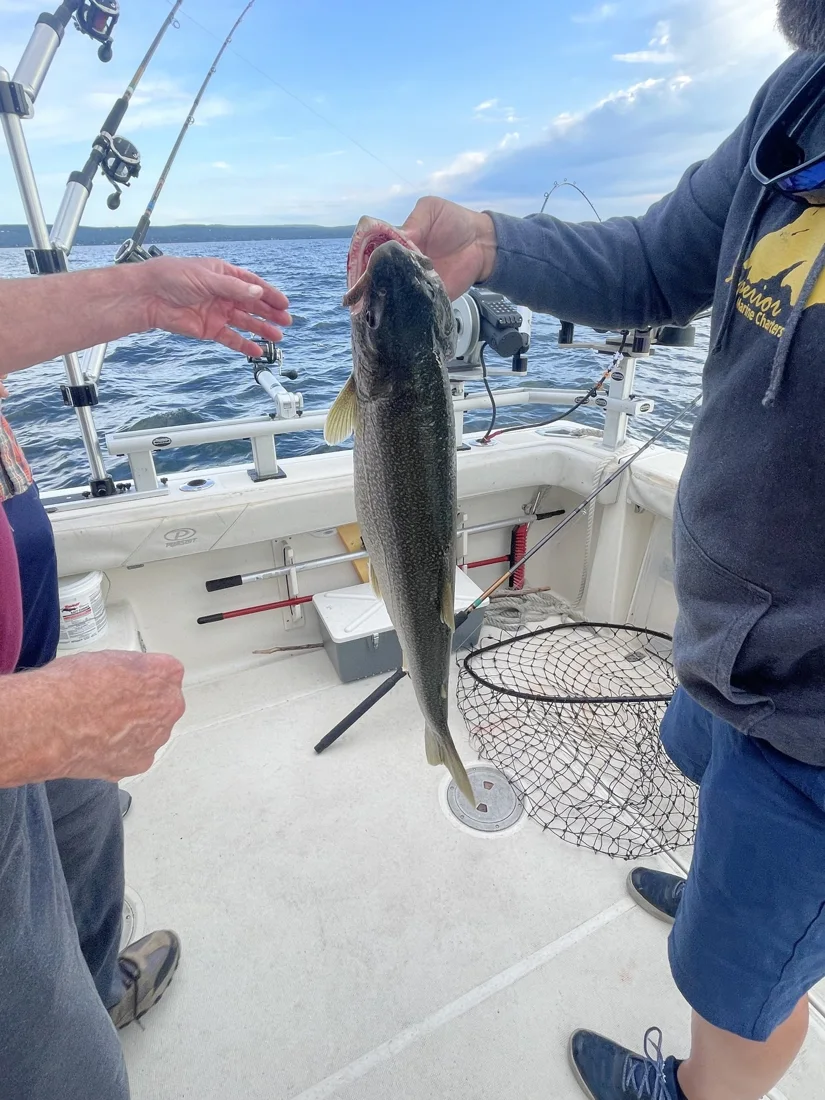 Superior Marine Charters, business photo 3